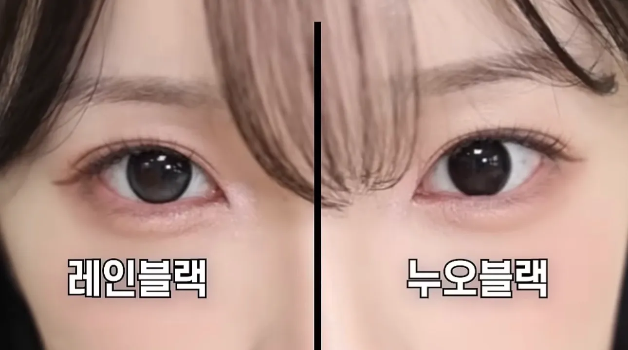 렌즈 머가 나아여?