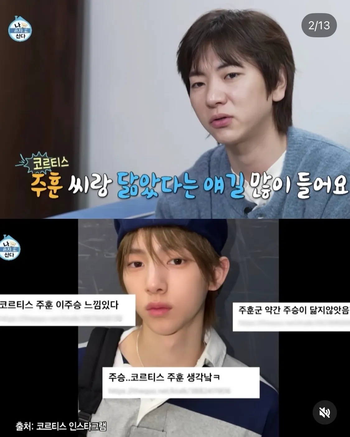 화류하면서 들은 닮은꼴 댓글