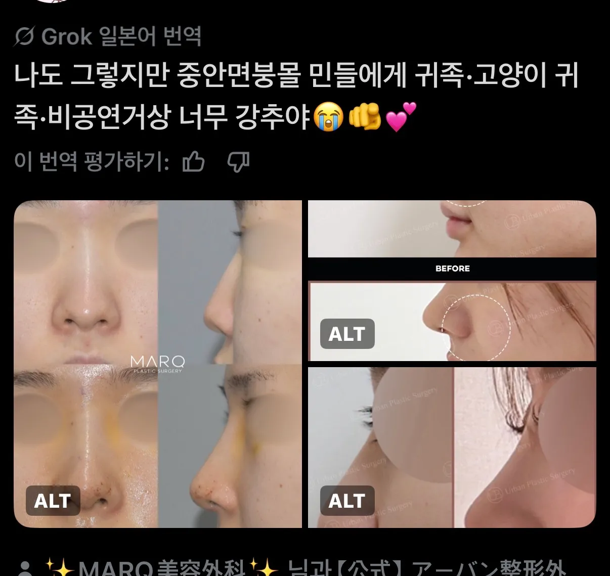 혹시 귀족이나 비익거상 해본 언니들