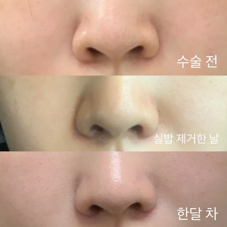 혹시 귀족이나 비익거상 해본 언니들2
