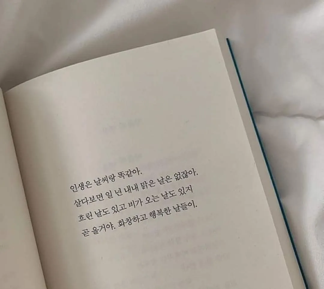 하퍼 토요일 한시간 뺑이 댓글