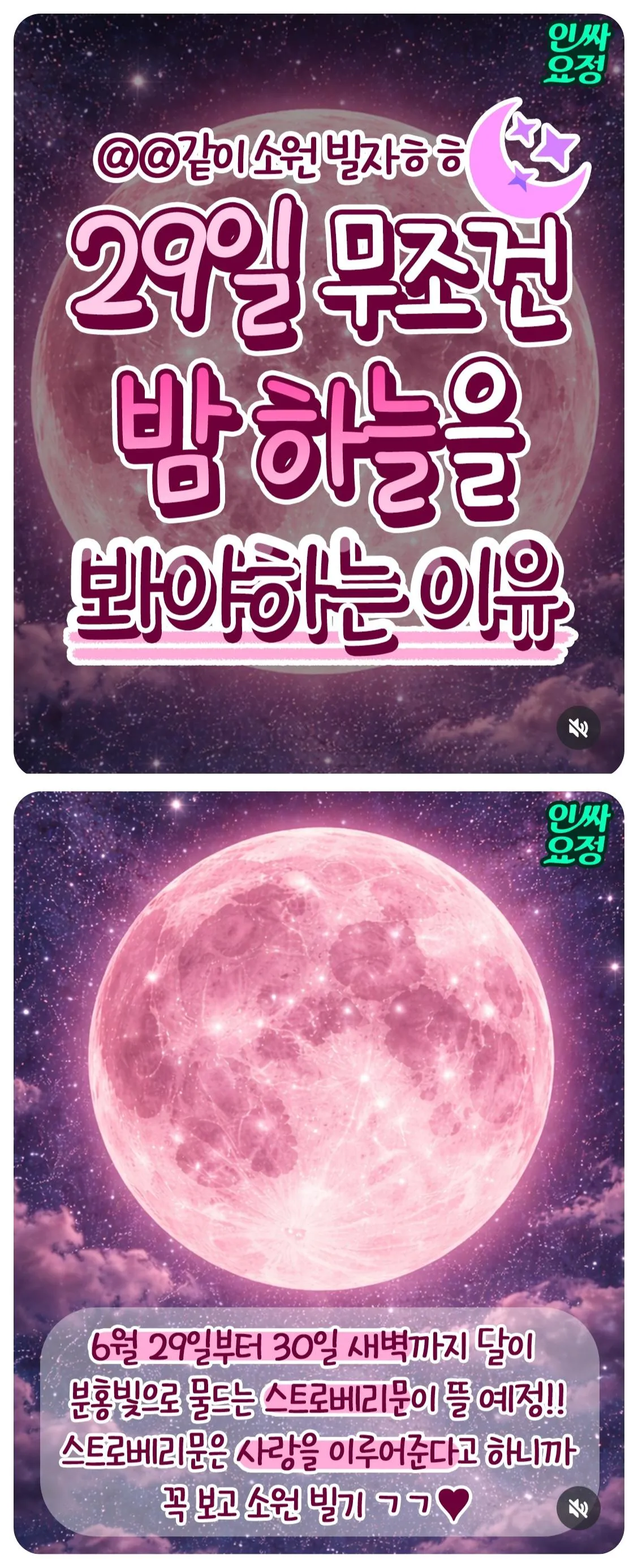 ■ 덕배위키/엘리트 : 29일밤 소원빌기!