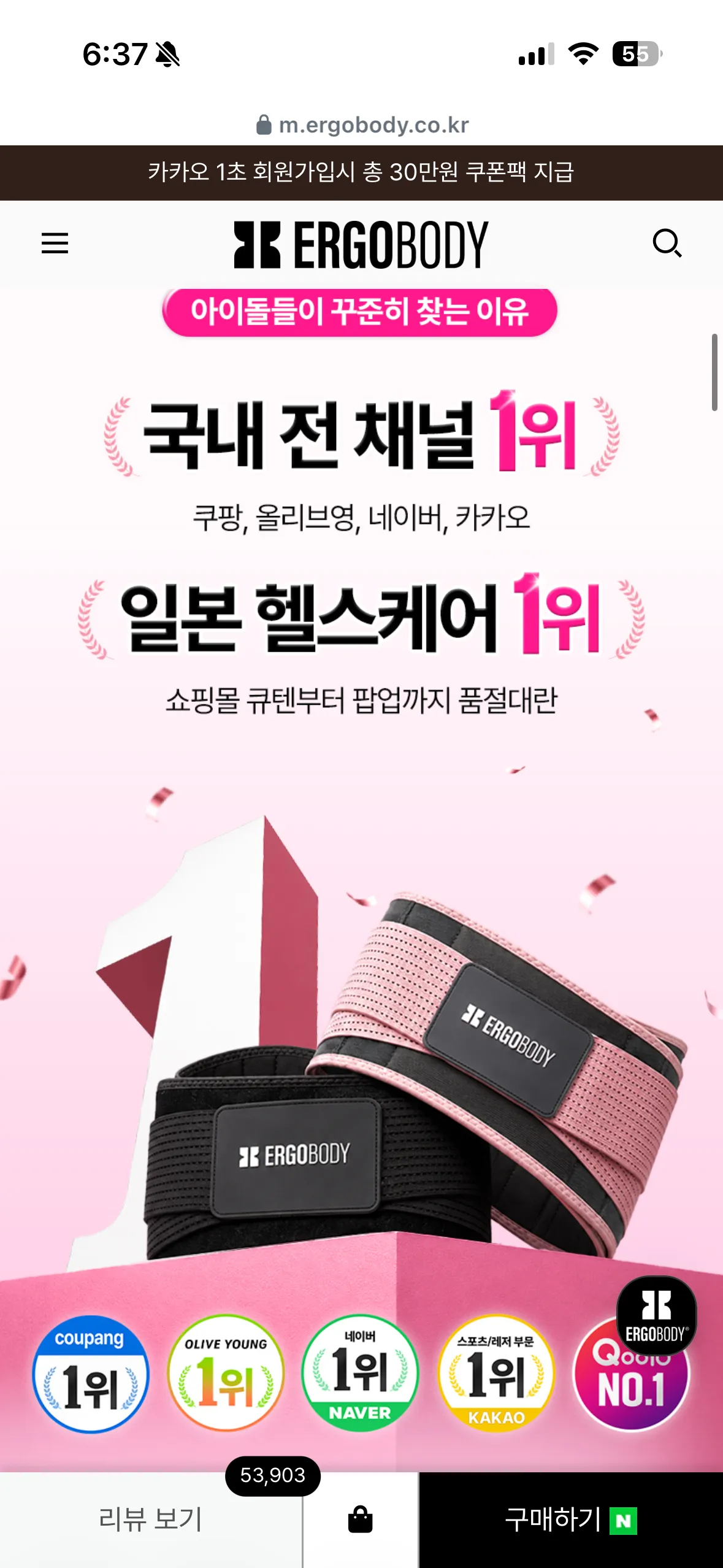 이거해본언냐들