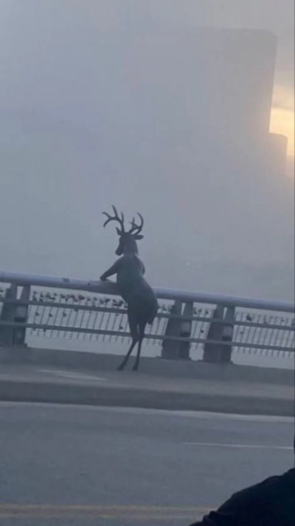 택시탓다