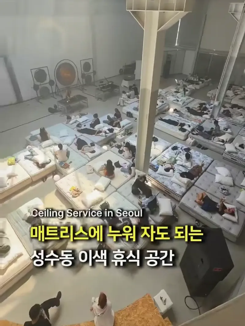성수동에 있다는 이색 휴식 공간