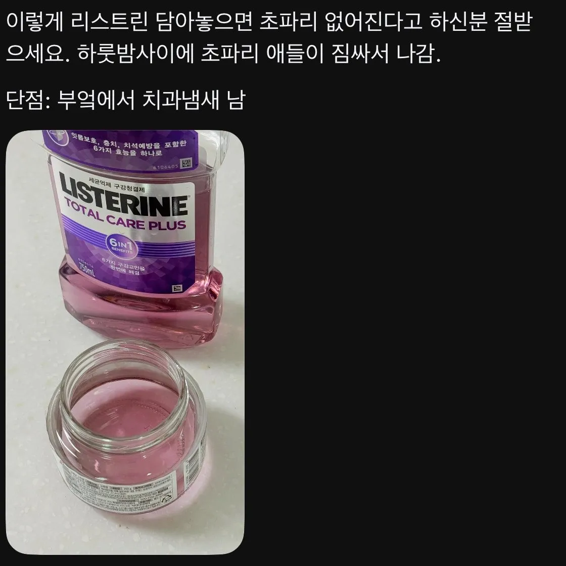 여름철 초파리 퇴치하는 법