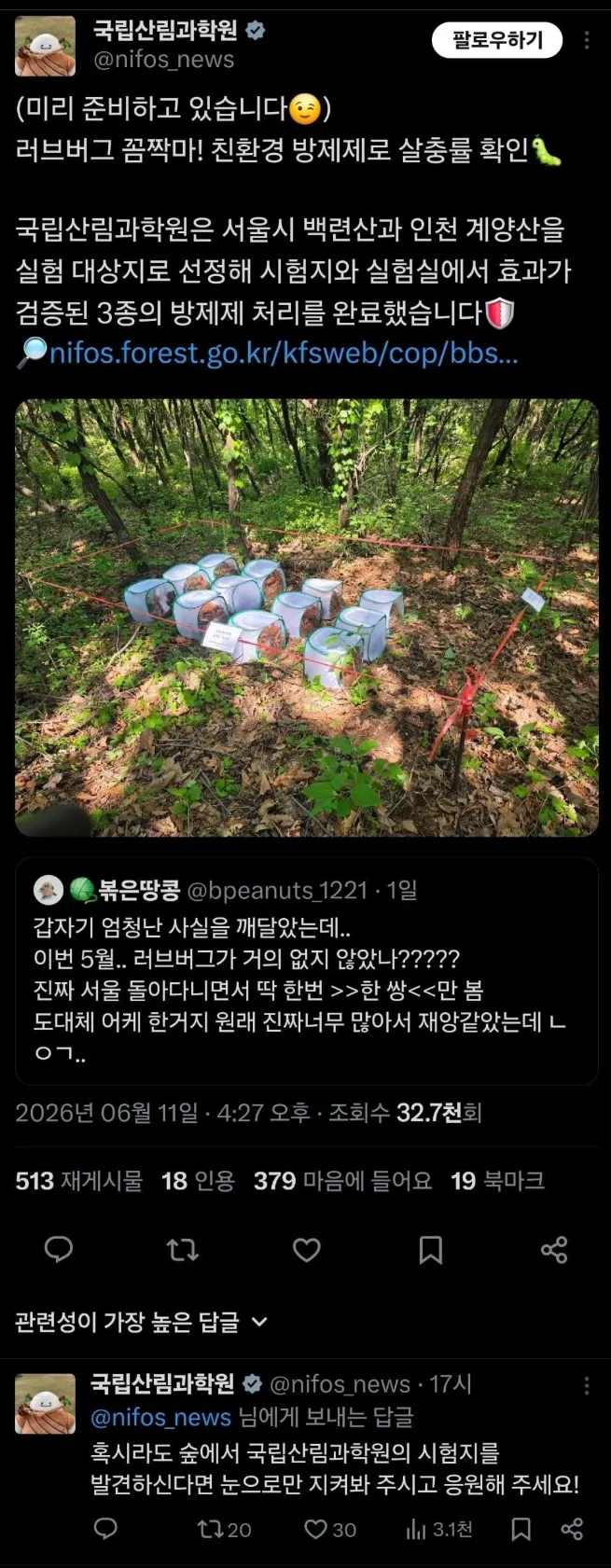올해 러브버그 잘 안 보이는 이유