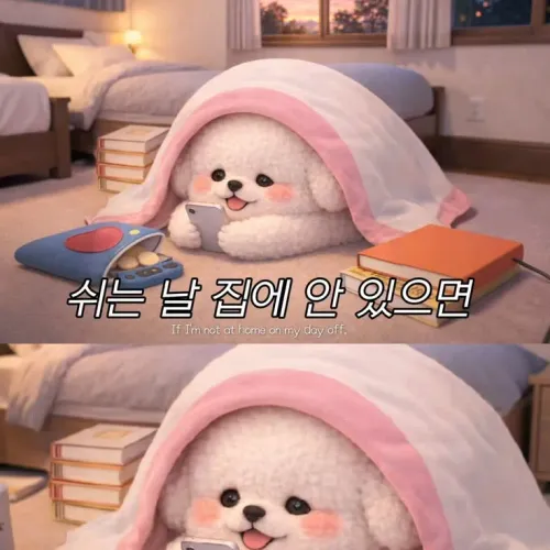 갯수가제일잘나오는일요일 엘리트