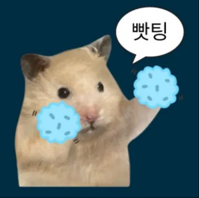 비+장 하락+월요일 댓글