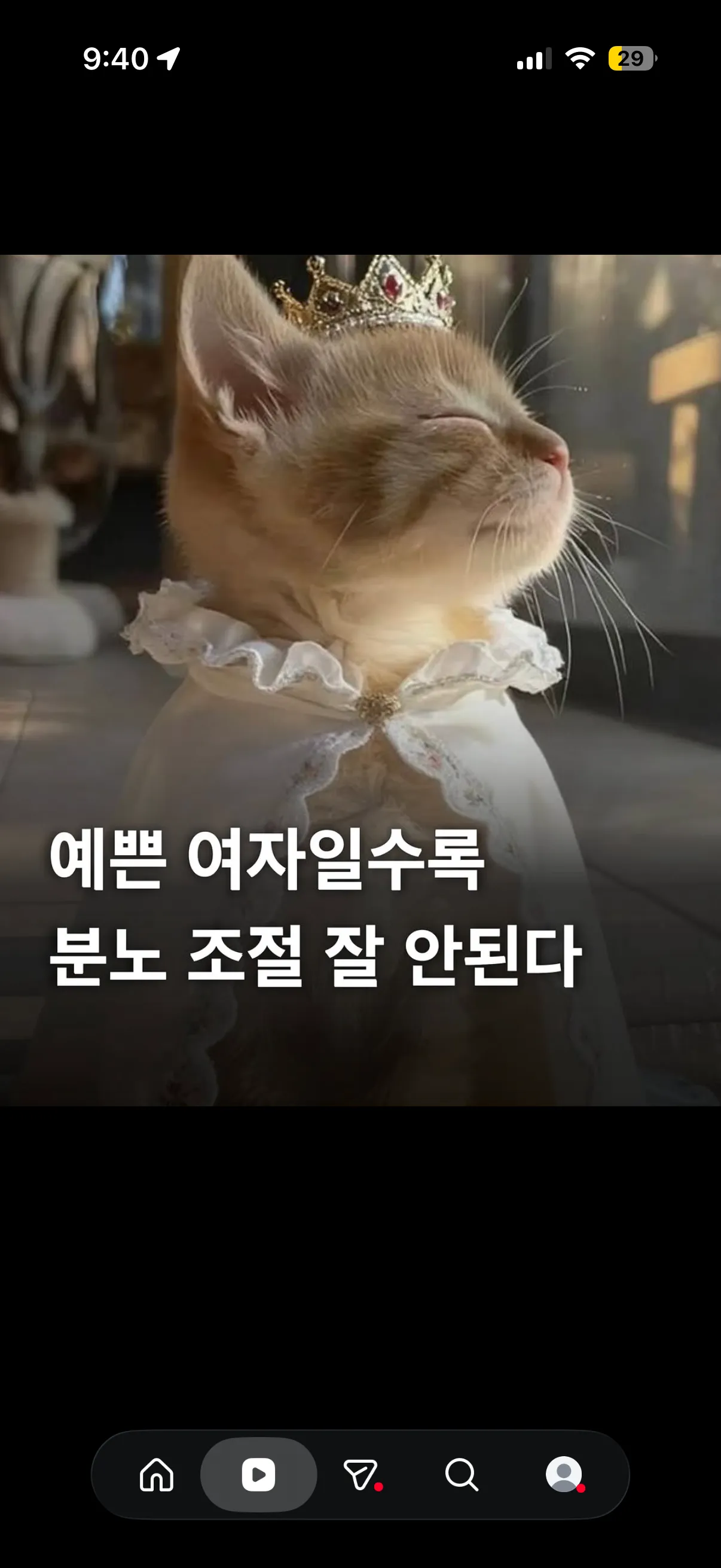언니들 화내는거 합법