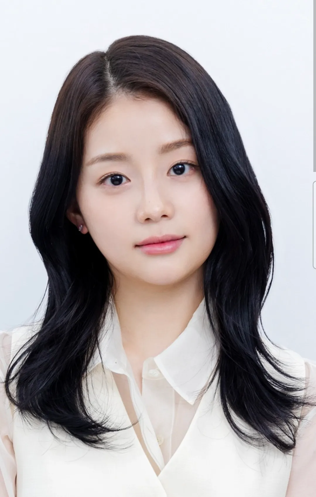 채서안도