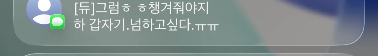 듀얼넘버 쓰는 언니들 댓글