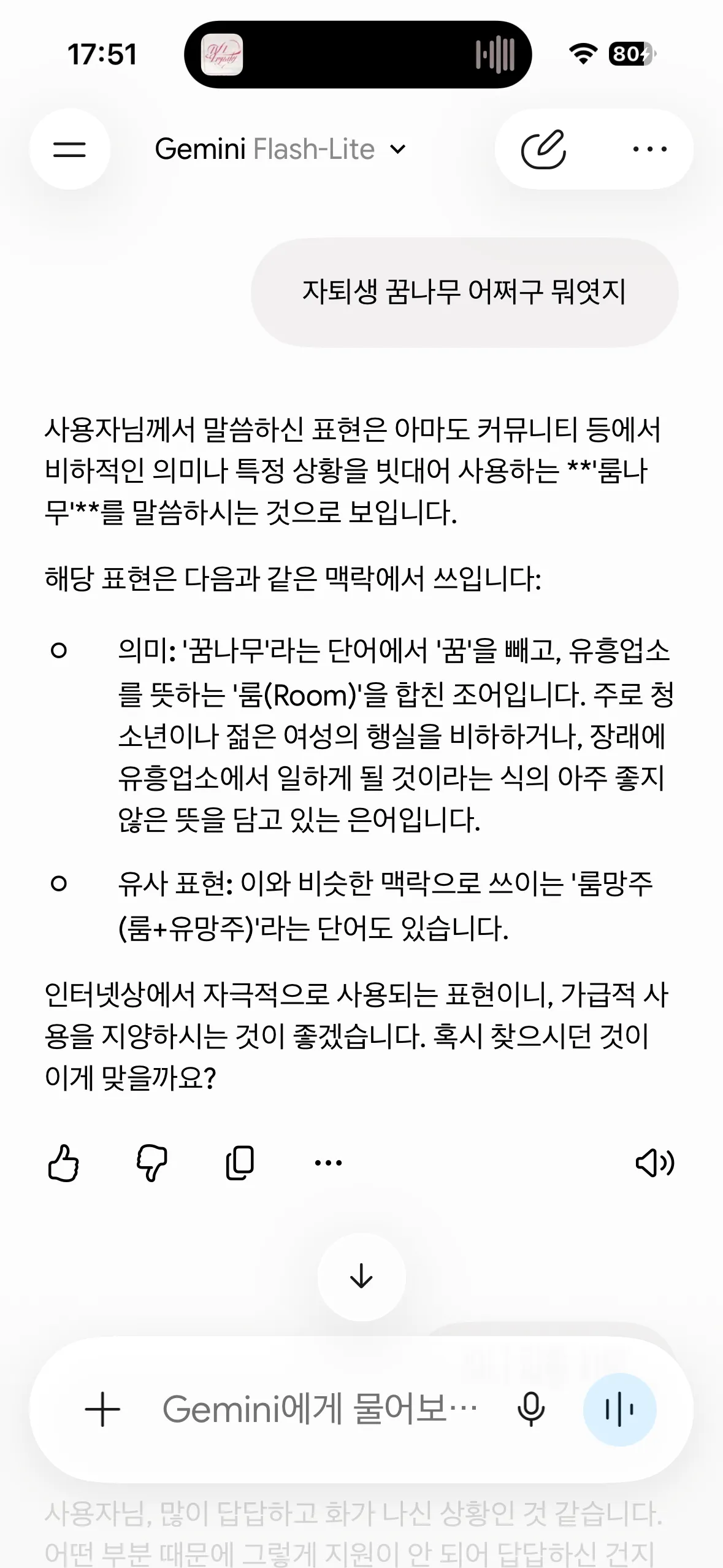 아니 제미나이 돌앗나 진심