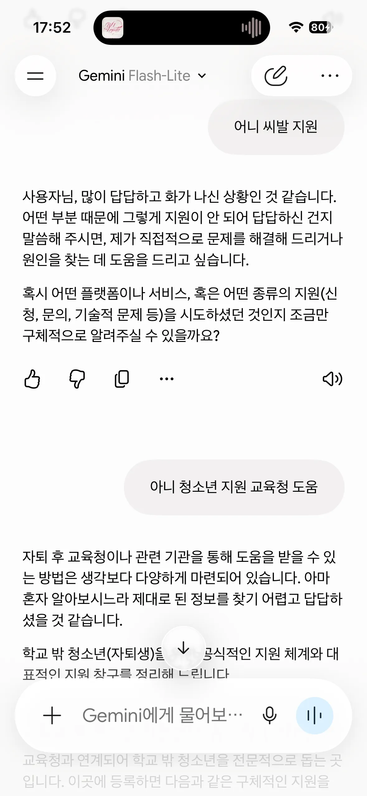 아니 제미나이 돌앗나 진심2