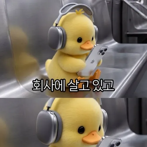 ••아딜엘리트 담초걱정그만하세요••
