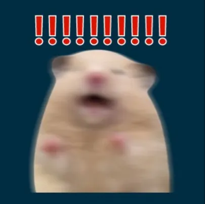 입문자들 보세요 댓글