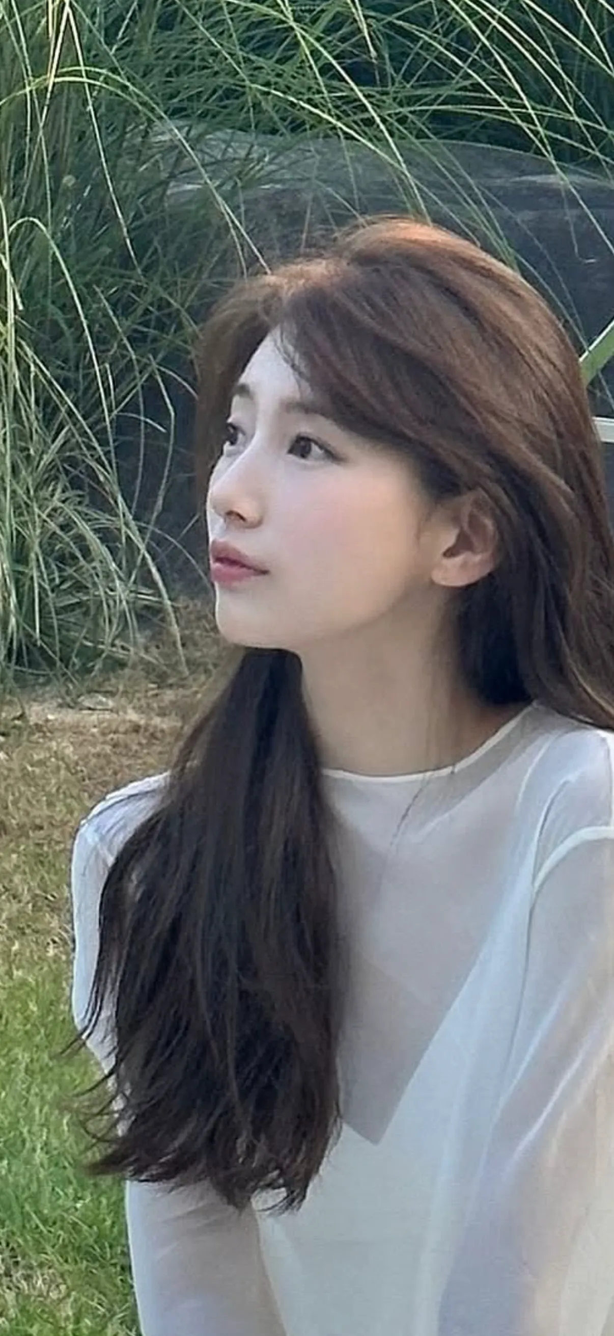 수지 코 어때요??2