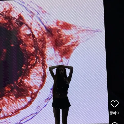츠키 진짜