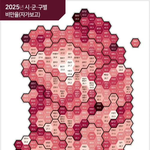 25년 전국 비만율비교