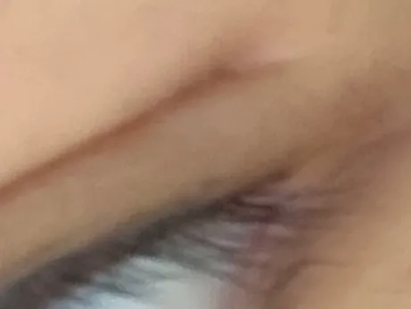 쌍수