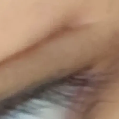 쌍수