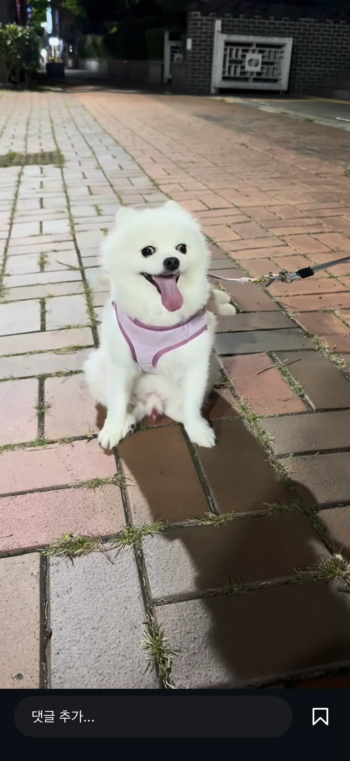 이제 이런 것도 ㅈ같은데 어떡해요 저