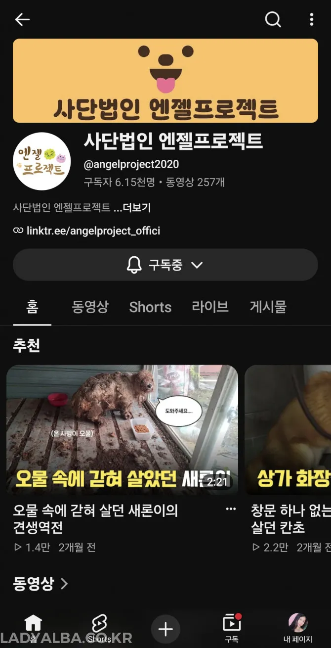 유기견 후원20만원했다