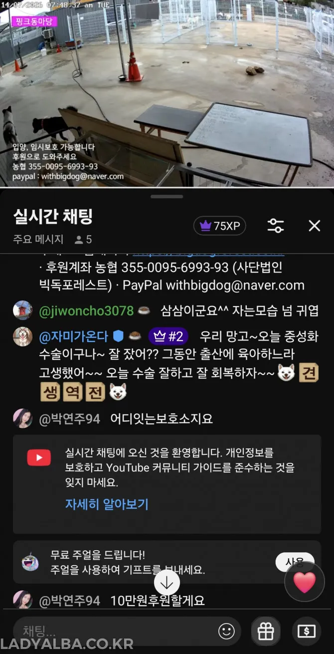 유기견 후원20만원했다3