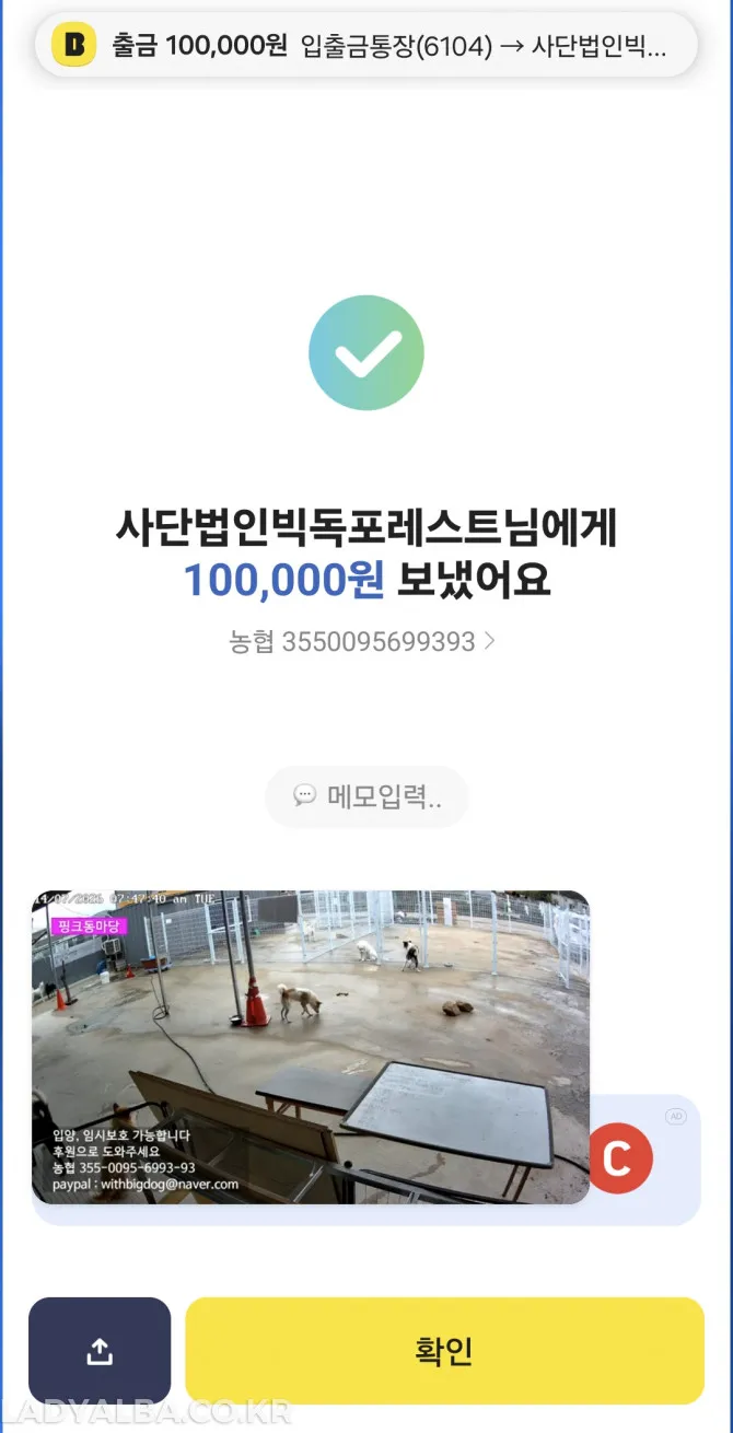 유기견 후원20만원했다4
