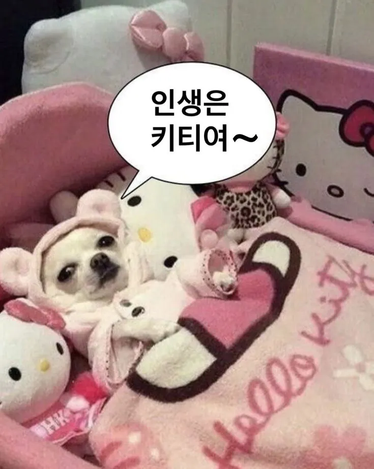 난 냥미새다! 댓글