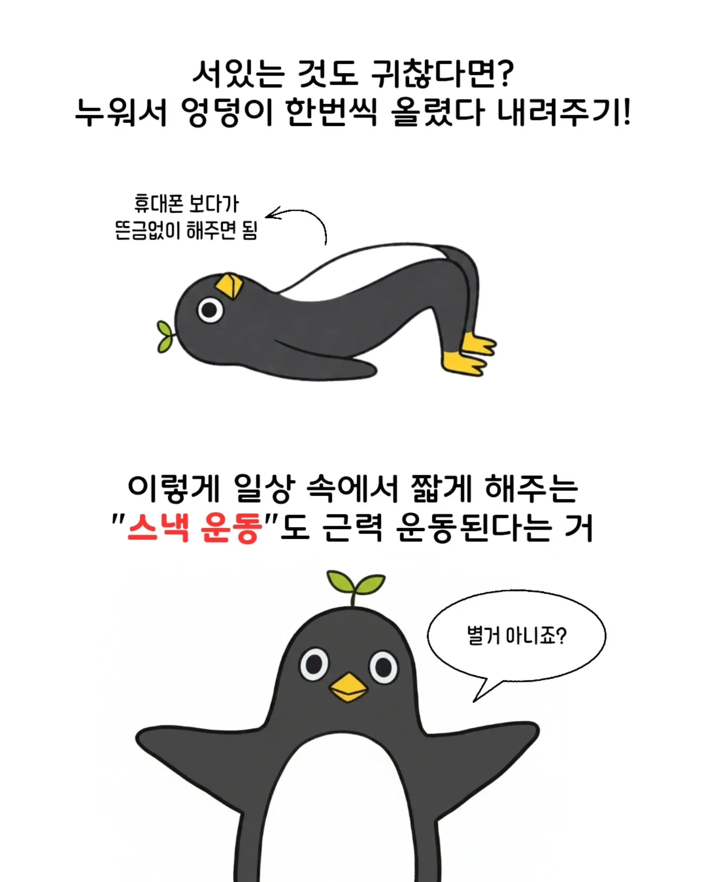 가볍게 시작하기 좋은 운동들5