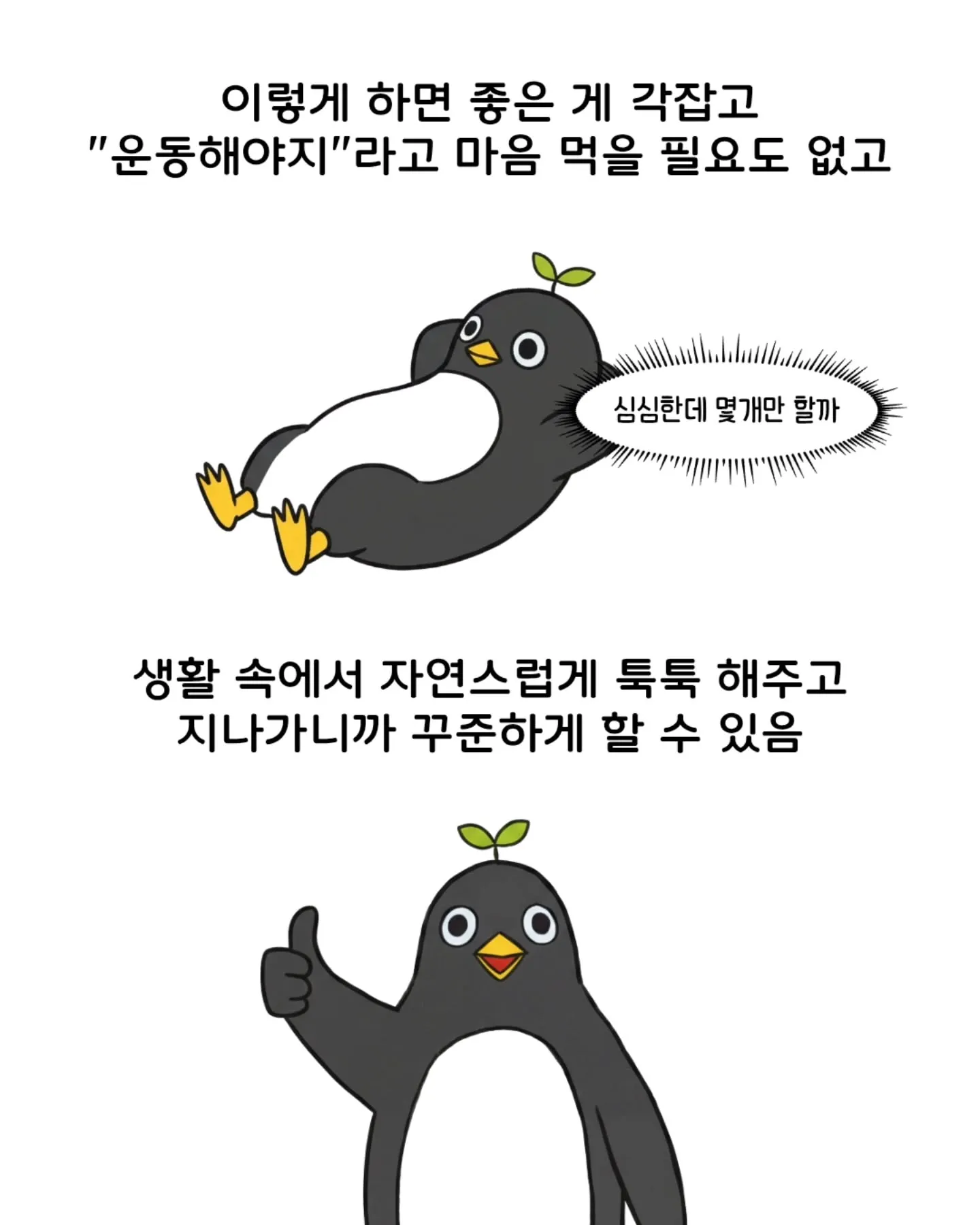 가볍게 시작하기 좋은 운동들6