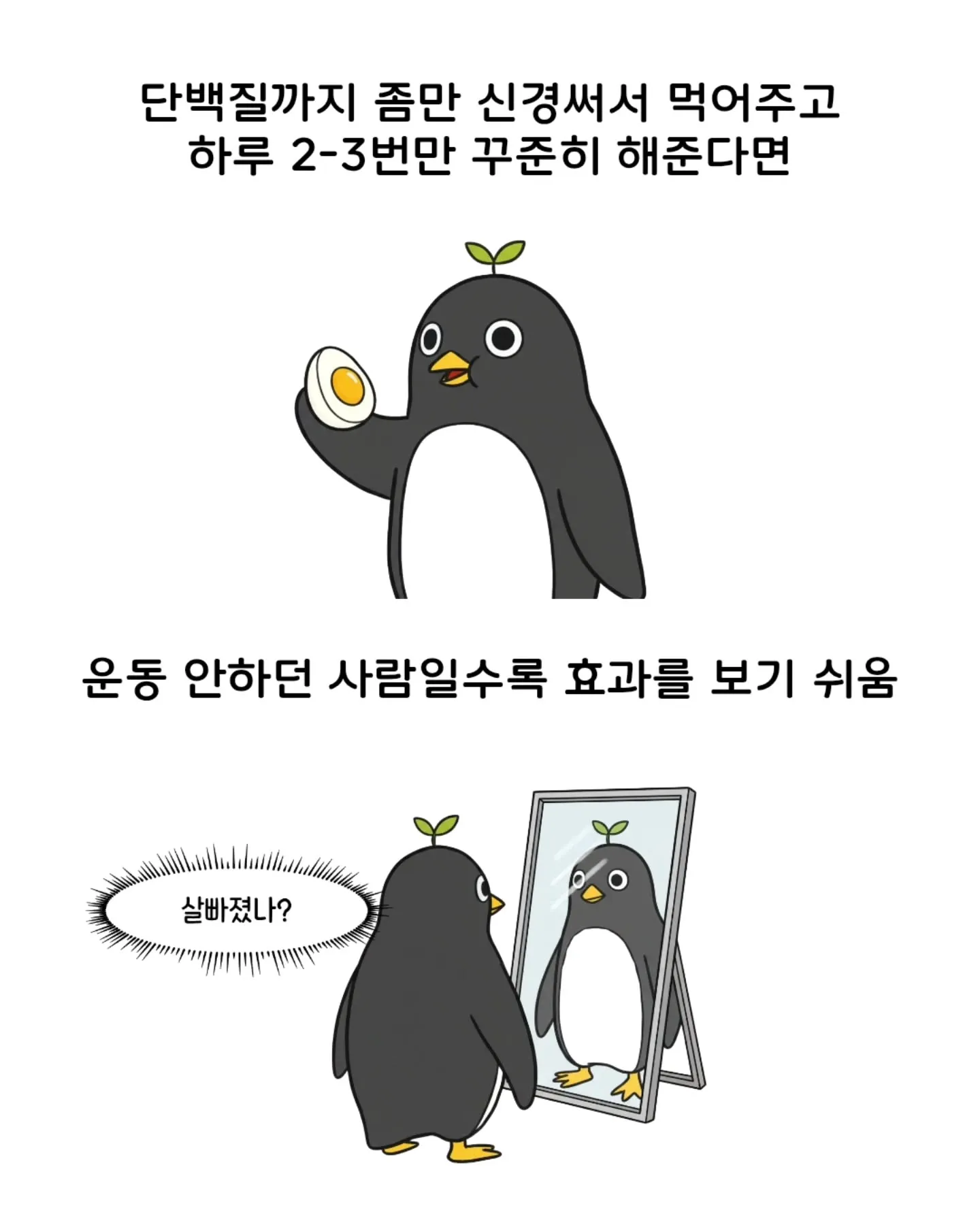 가볍게 시작하기 좋은 운동들7