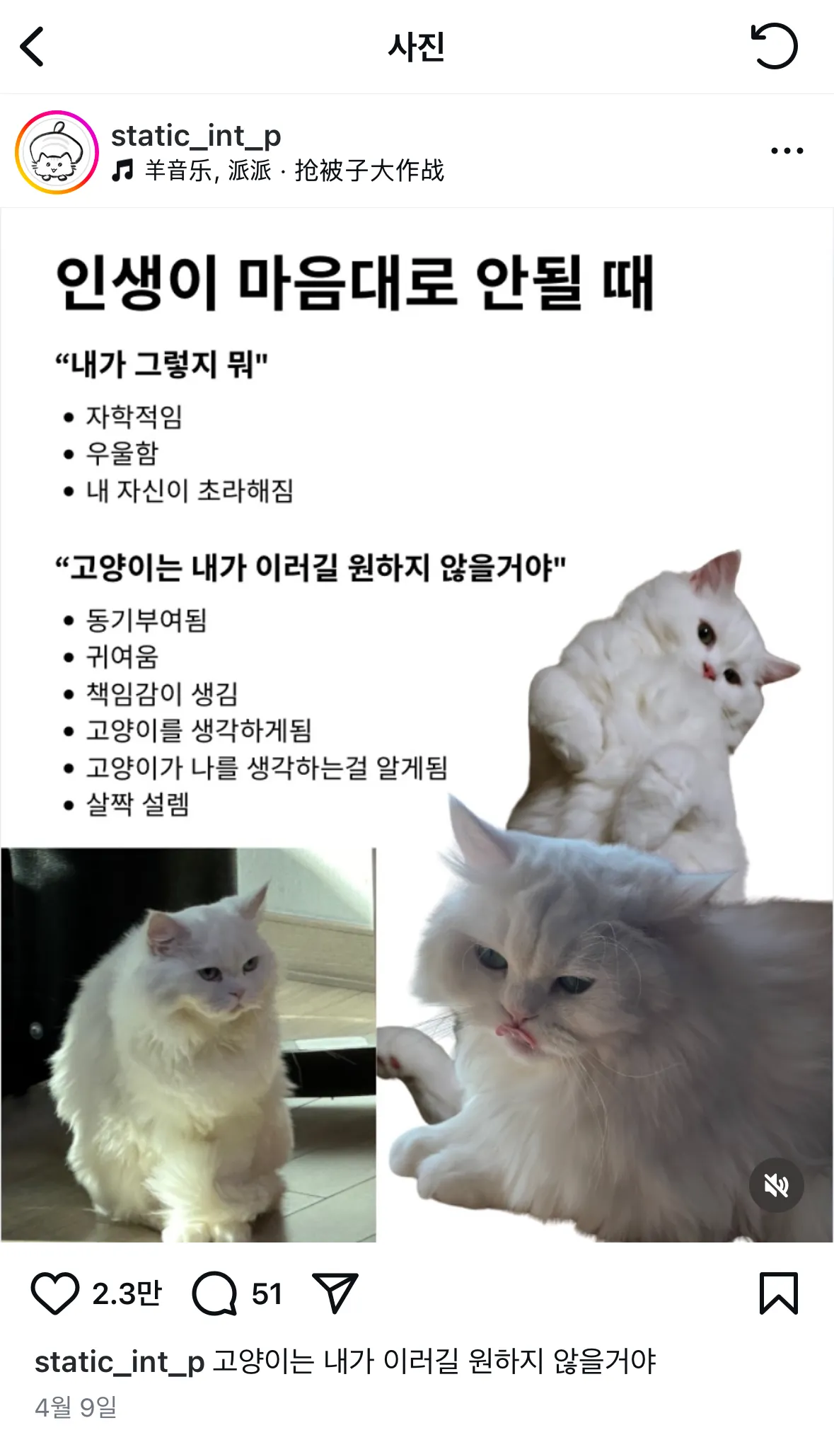 울애기 애미가 돈 벌어올게