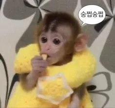 저스트원텐미닛내것이되는시간 댓글