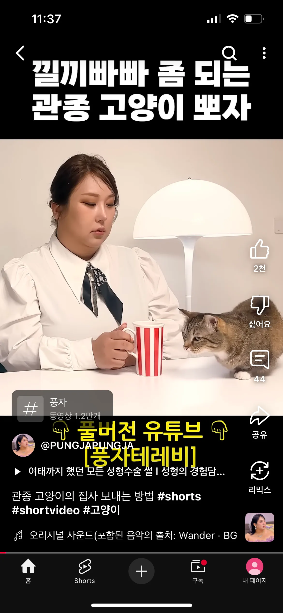 진짜높네요 ㅋㅋㅋㅋ