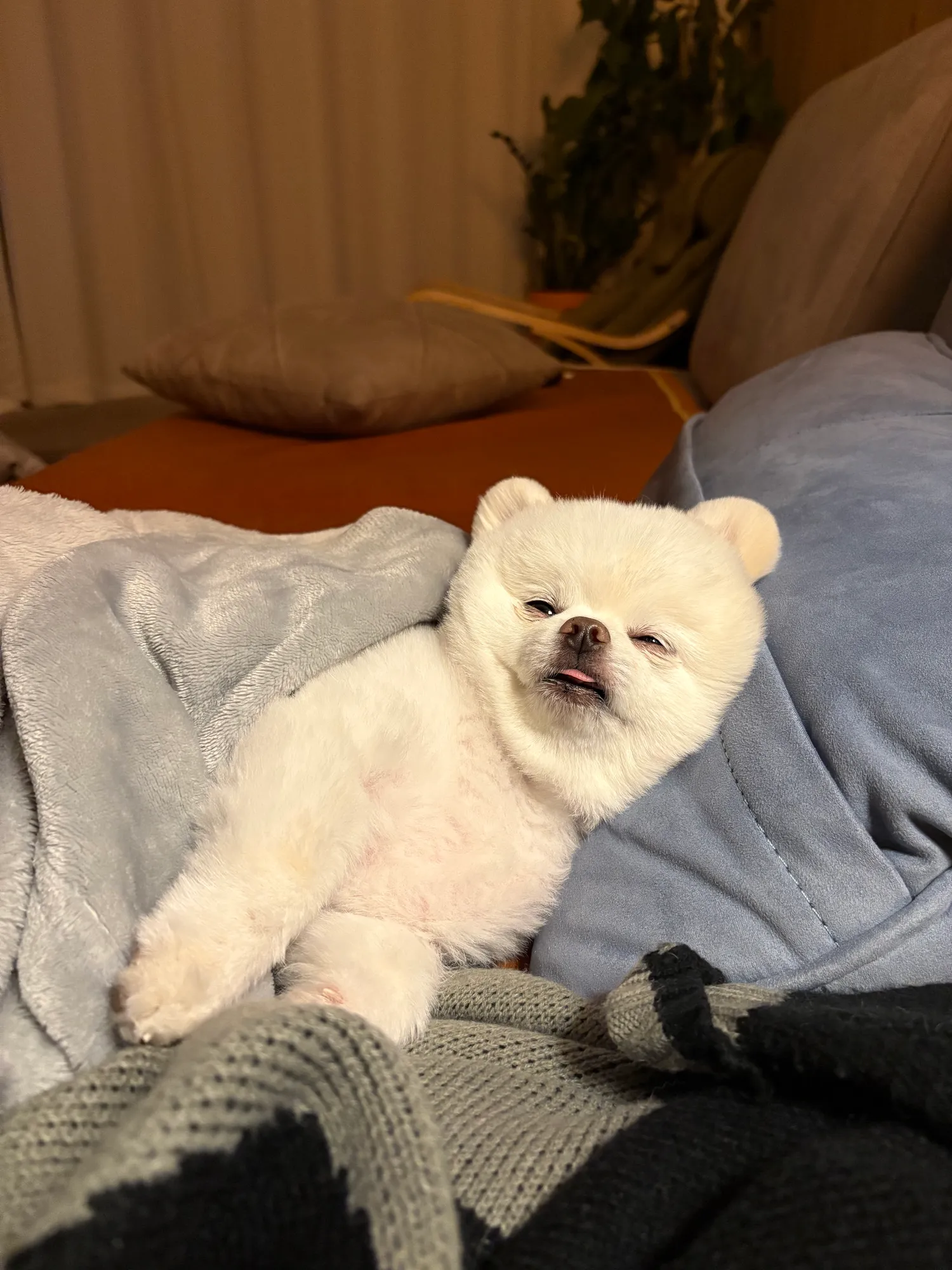 우울할 때나 심심할 때 댓글