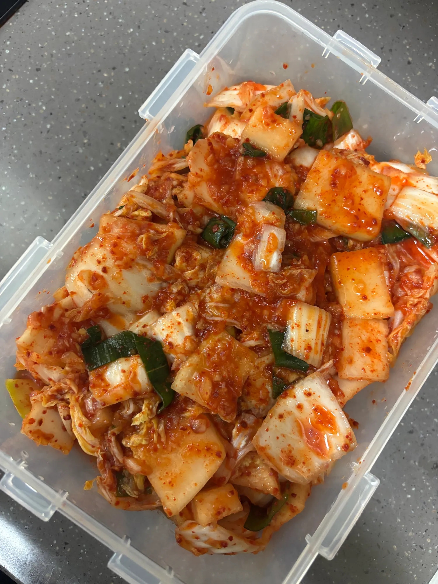 쉬는날이라 김치담갔어요2