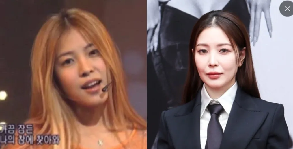 보아 머한거에요???