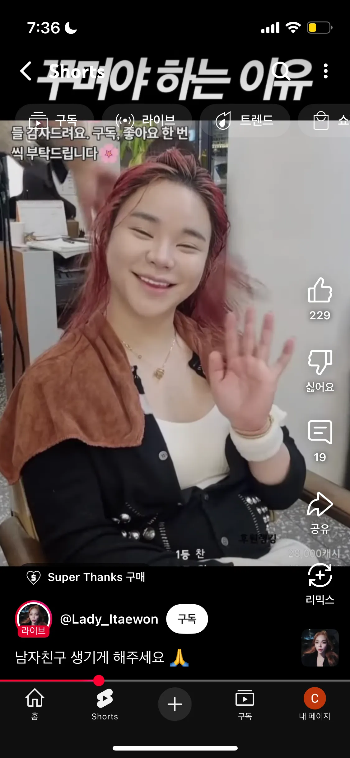 트젠 켈리 헤메샵