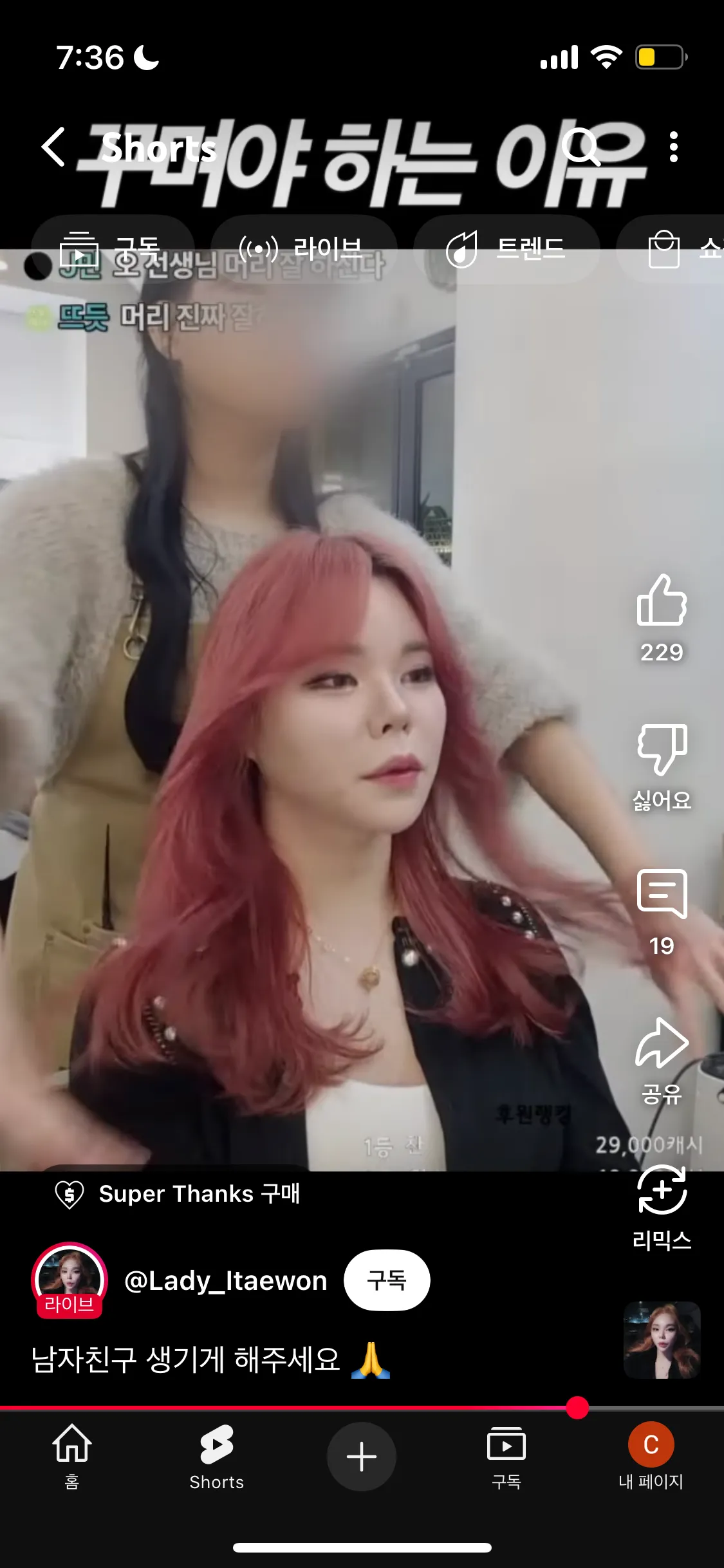 트젠 켈리 헤메샵2