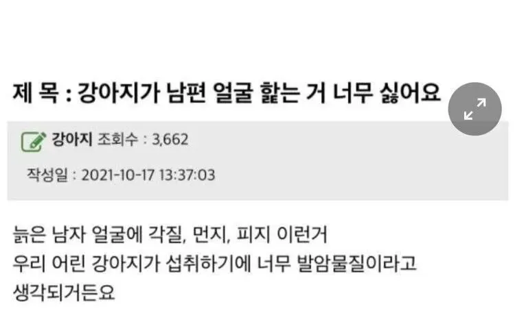 강아지가 남편얼굴 핥는거 싫어요