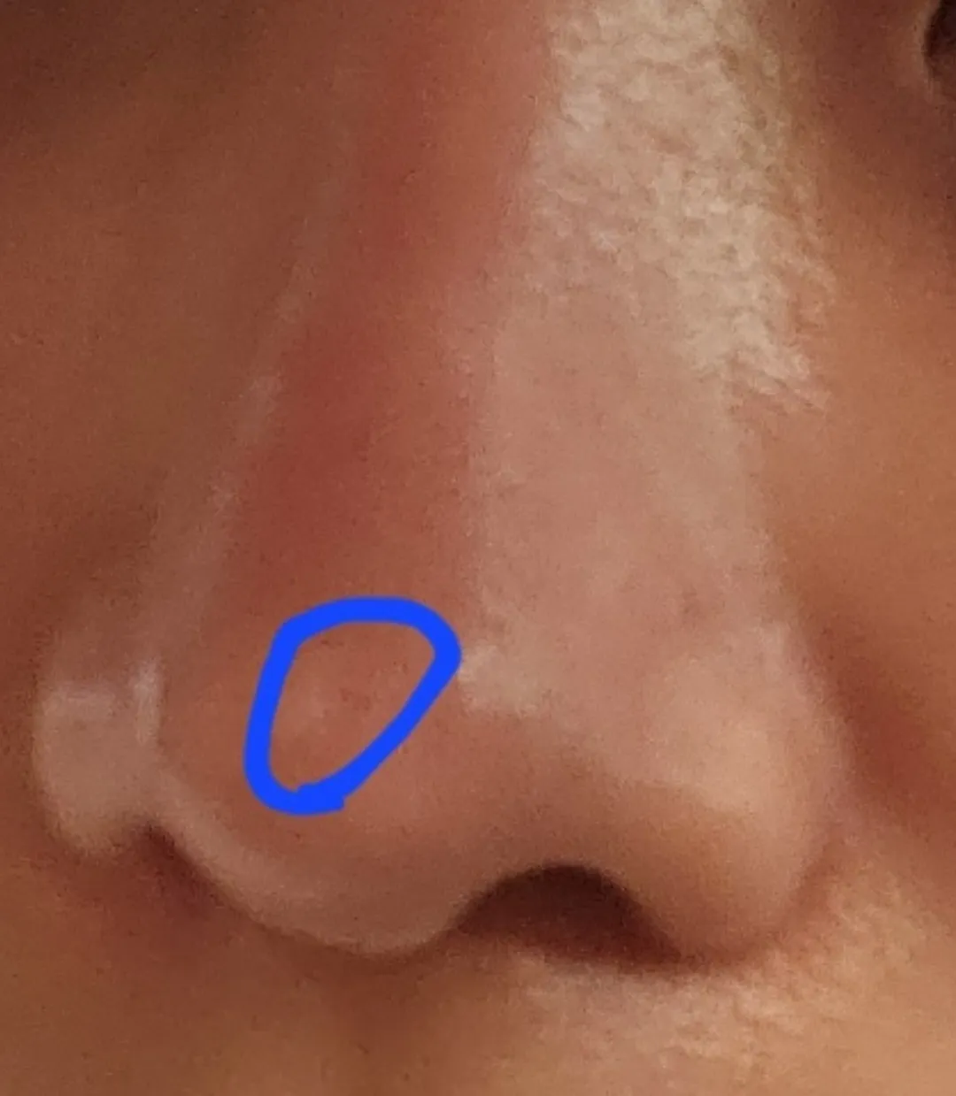 언니들 저 좆된거죠...