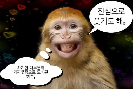 여기가 글 쓰고 읽기 참 마음 편한거 같아요 댓글