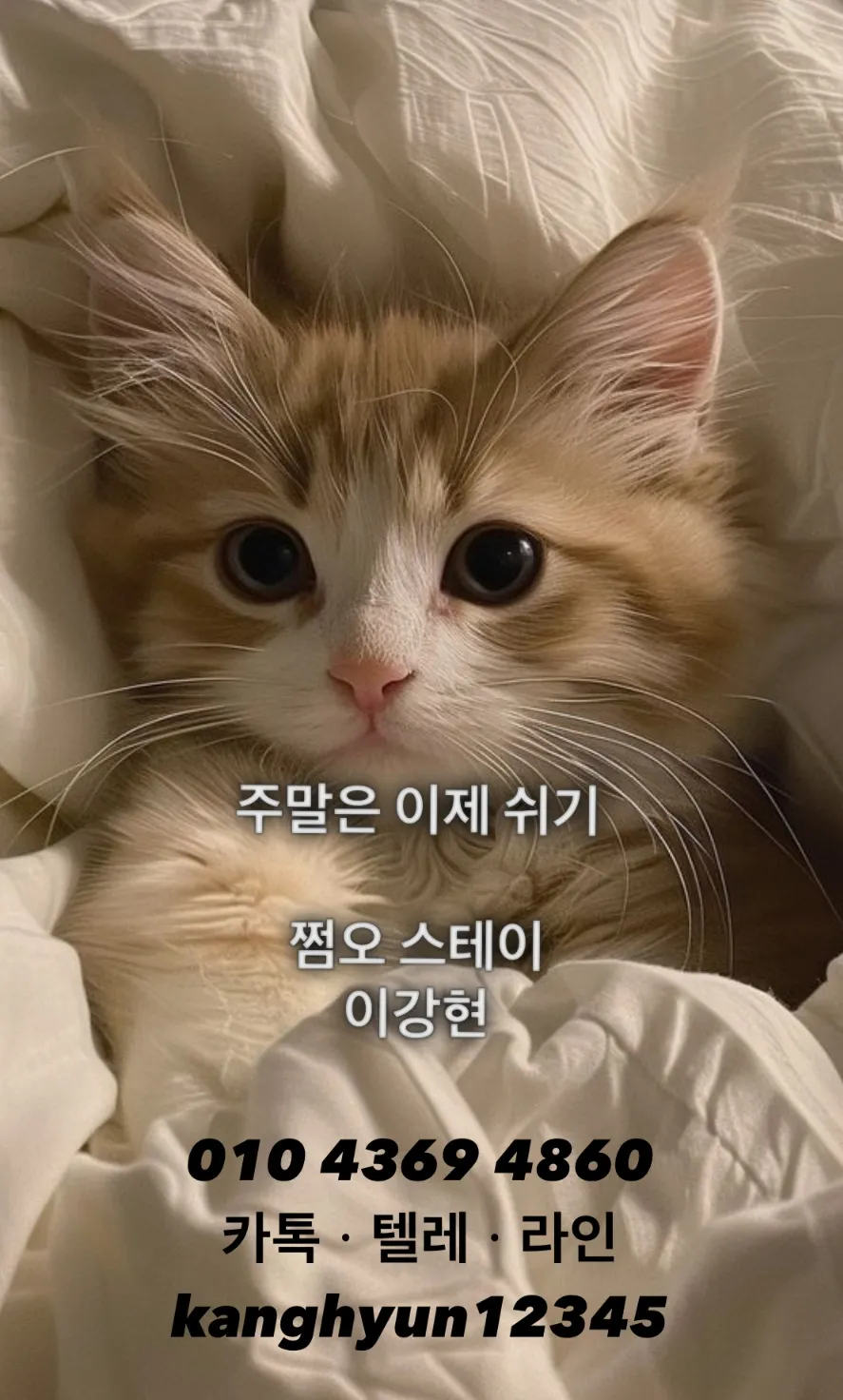 [쩜오]도깨비(스테이)강현_면접비소개비2시간40블랜딩구구단인트로썸데이퍼펙트도파민유앤미엘리트