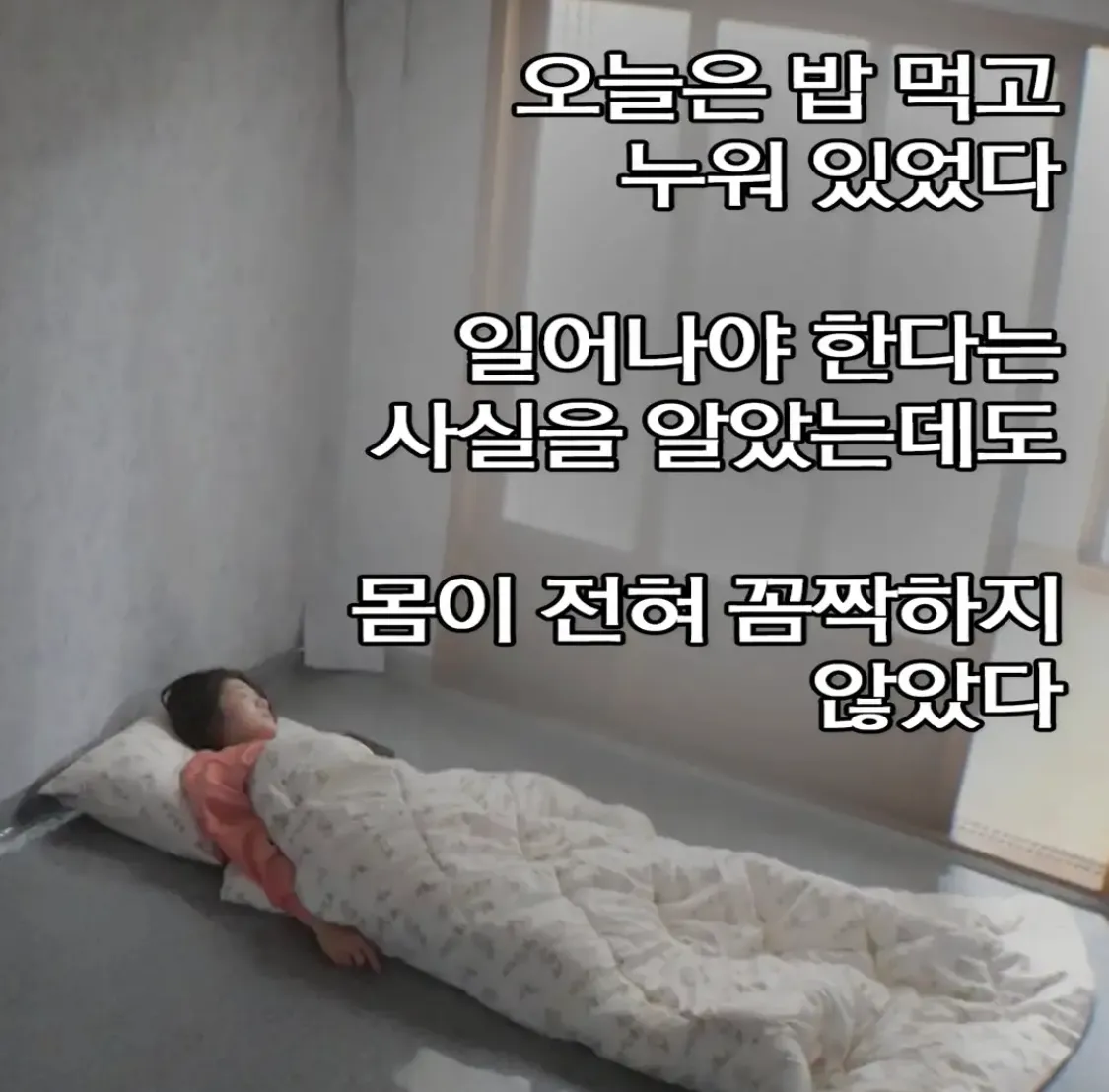언니들 일요일에 뭐했어용?