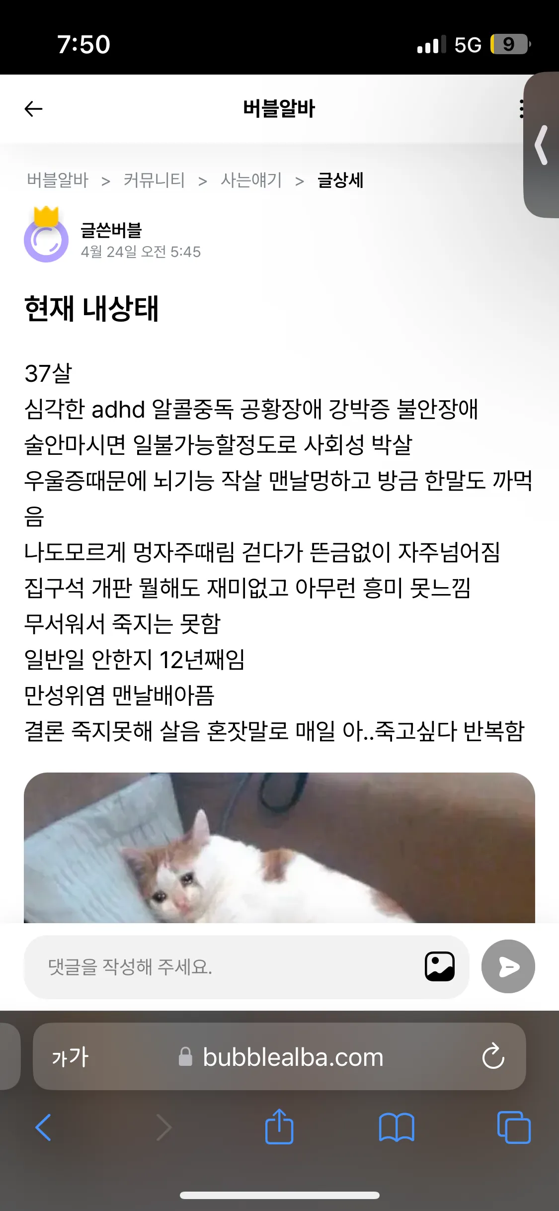 이글쓴언니에게 미안하지만 ㅠㅠ