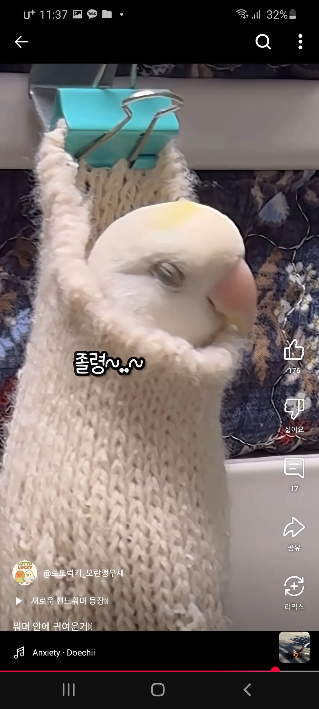 모닝허그으