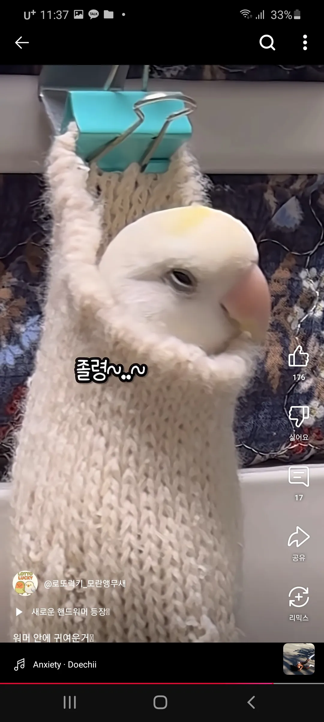 모닝허그으3
