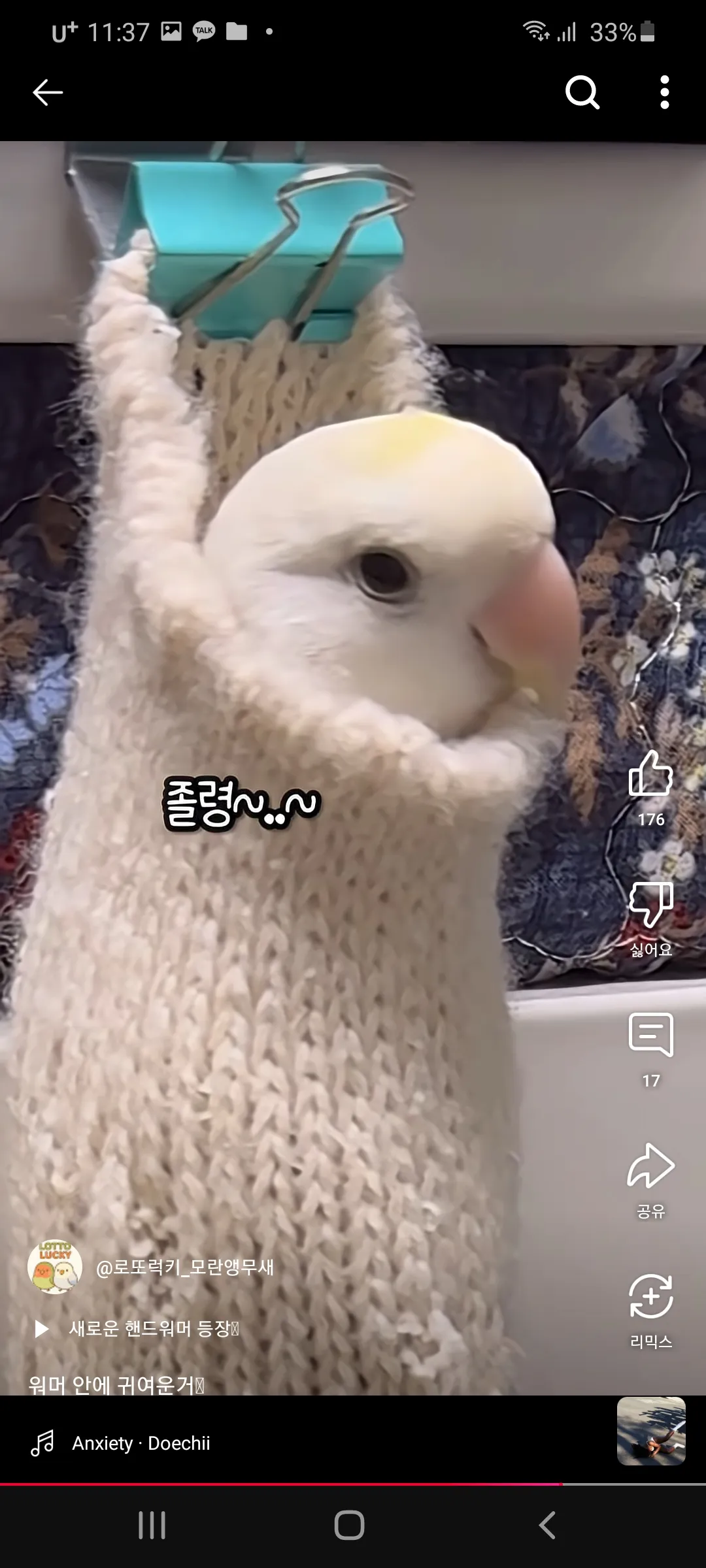 모닝허그으4